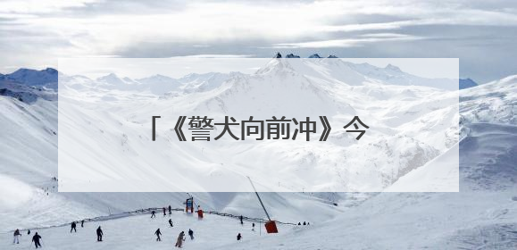 《警犬向前冲》今晚山东卫视播出，“神犬奇兵”炼成记