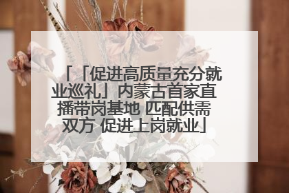 「促进高质量充分就业巡礼」内蒙古首家直播带岗基地 匹配供需双方 促进上岗就业