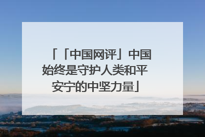 「中国网评」中国始终是守护人类和平安宁的中坚力量