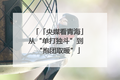 「央媒看青海」从“单打独斗”到“抱团取暖”