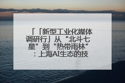 「新型工业化媒体调研行」从“北斗七星”到“热带雨林”：上海AI生态的技术商业共生密码