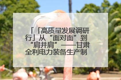 「高质量发展调研行」从“面对面”到“肩并肩”——甘肃全利电力装备生产制造项目一线见闻