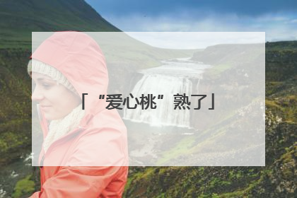 “爱心桃”熟了