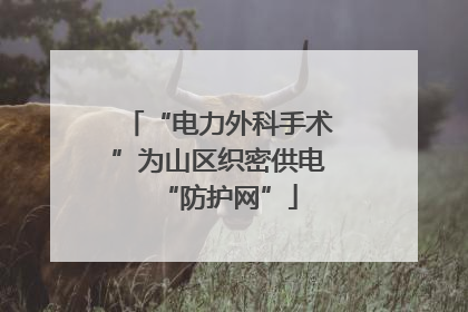 “电力外科手术”为山区织密供电“防护网”