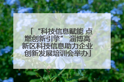 “科技信息赋能 点燃创新引擎” 淄博高新区科技信息助力企业创新发展培训会举办