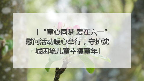 “童心同梦 爱在六一”慰问活动暖心举行，守护沈城困境儿童幸福童年