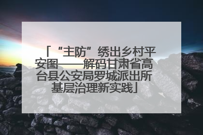 “主防”绣出乡村平安图——解码甘肃省高台县公安局罗城派出所基层治理新实践