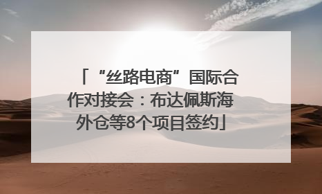 “丝路电商”国际合作对接会：布达佩斯海外仓等8个项目签约