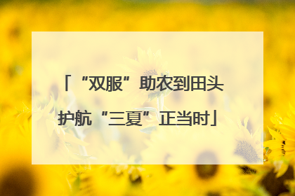“双服”助农到田头 护航“三夏”正当时