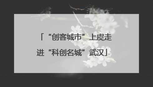 “创客城市”上虞走进“科创名城”武汉