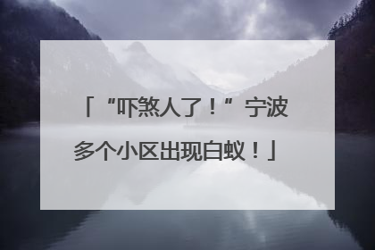 “吓煞人了！”宁波多个小区出现白蚁！
