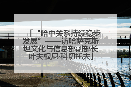 “哈中关系持续稳步发展”——访哈萨克斯坦文化与信息部副部长叶夫根尼·科切托夫