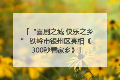 “喜剧之城 快乐之乡” 铁岭市银州区亮相《300秒看家乡》