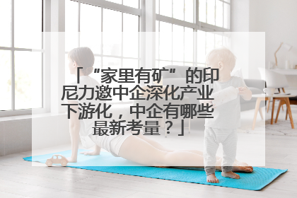 “家里有矿”的印尼力邀中企深化产业下游化，中企有哪些最新考量？