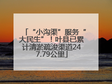 “小沟渠”服务“大民生”！叶县已累计清淤疏浚渠道247.79公里