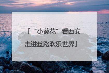 “小葵花”看西安走进丝路欢乐世界