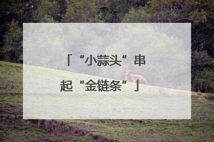 “小蒜头”串起“金链条”