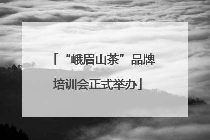 “峨眉山茶”品牌培训会正式举办
