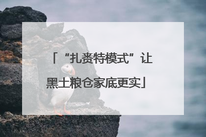 “扎赉特模式”让黑土粮仓家底更实