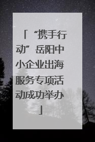 “携手行动”岳阳中小企业出海服务专项活动成功举办