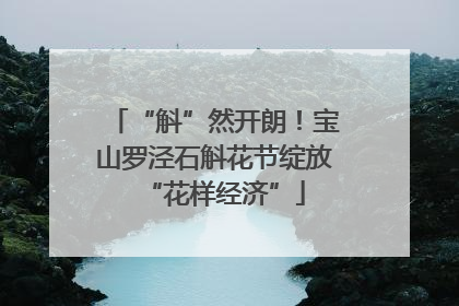 “斛”然开朗！宝山罗泾石斛花节绽放“花样经济”