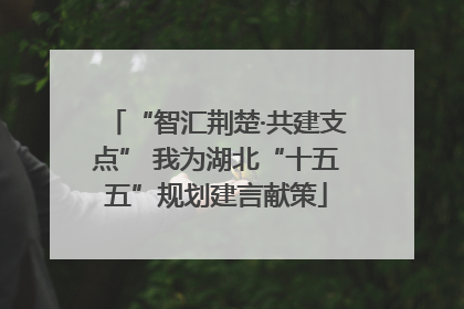“智汇荆楚·共建支点” 我为湖北“十五五”规划建言献策