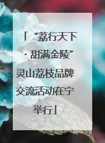 “荔行天下・甜满金陵”灵山荔枝品牌交流活动在宁举行