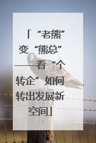 “老熊”变“熊总”——看“个转企”如何转出发展新空间