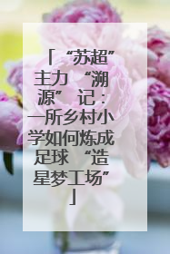 “苏超”主力 “溯源” 记：一所乡村小学如何炼成足球 “造星梦工场”