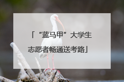 “蓝马甲”大学生志愿者畅通送考路