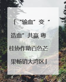 “输血”变“造血”共赢 粤桂协作助百色芒果畅销大湾区