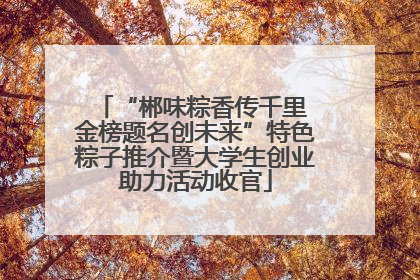 “郴味粽香传千里 金榜题名创未来”特色粽子推介暨大学生创业助力活动收官