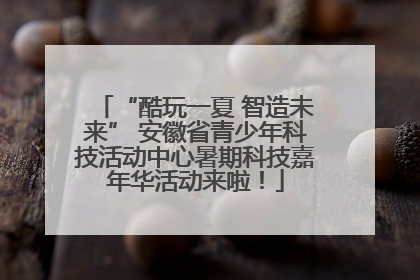 “酷玩一夏 智造未来” 安徽省青少年科技活动中心暑期科技嘉年华活动来啦！