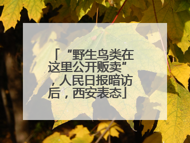 “野生鸟类在这里公开贩卖”，人民日报暗访后，西安表态