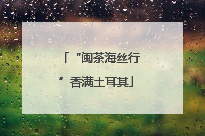 “闽茶海丝行”香满土耳其