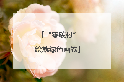 “零碳村” 绘就绿色画卷