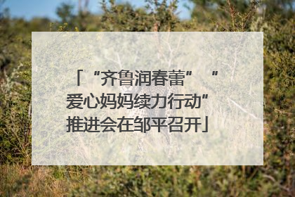“齐鲁润春蕾”“爱心妈妈续力行动”推进会在邹平召开
