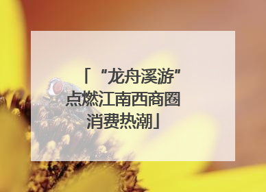“龙舟溪游”点燃江南西商圈消费热潮