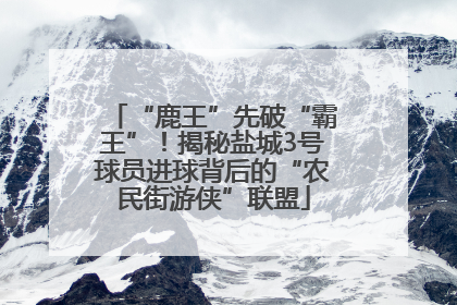 “鹿王”先破“霸王”！揭秘盐城3号球员进球背后的“农民街游侠”联盟