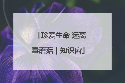 珍爱生命 远离毒蘑菇｜知识窗