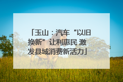 玉山：汽车“以旧换新”让利惠民 激发县域消费新活力