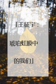 王征宇：琥珀虹膜中的我们