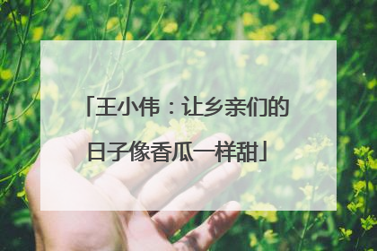 王小伟：让乡亲们的日子像香瓜一样甜