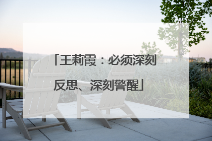 王莉霞：必须深刻反思、深刻警醒