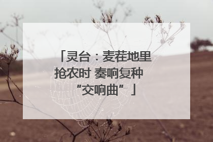 灵台：麦茬地里抢农时 奏响复种“交响曲”