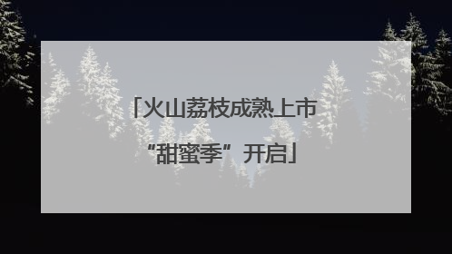 火山荔枝成熟上市 “甜蜜季”开启