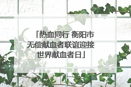 热血同行 衡阳市无偿献血者联谊迎接世界献血者日