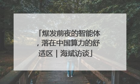 爆发前夜的智能体，落在中国算力的舒适区｜海斌访谈