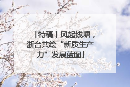 特稿丨风起钱塘，浙台共绘“新质生产力”发展蓝图