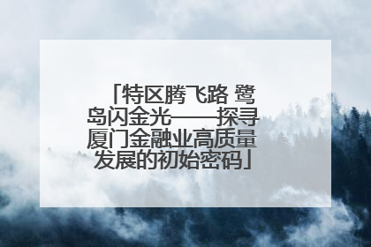 特区腾飞路 鹭岛闪金光——探寻厦门金融业高质量发展的初始密码